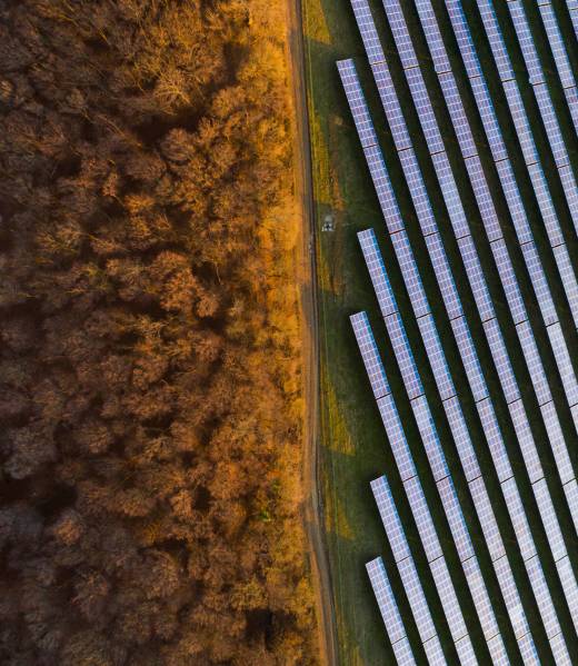 Aerial view of solar panels on a sunny day. Power farm producing clean energy.